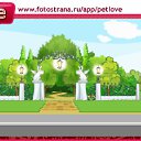 ���� ���������, ������ - ��������� 26 ������� 2011 � ������ �PetLove�