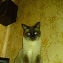  Prizrak, , 51  -  1  2013   