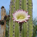 ���� ������, ������������, 70 ��� - ��������� 3 ���� 2012 � ������ ������-�������� (�������)�
