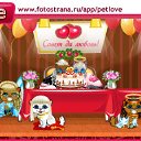 ���� ������, ������, 43 ���� - ��������� 25 ������ 2010 � ������ �PetLove�