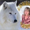 ���� �����, ���������, 49 ��� - ��������� 10 ������ 2013 � ������ ���� ����������