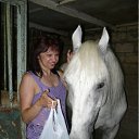  ~_o~, , 62  -  28  2011   0 -   ...