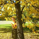 ���� ������, ��� - ��������� 7 ������� 2012 � ������ ���� ����������