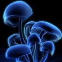 ���� ���, �����, 36 ��� - ��������� 4 ���� 2013 � ������ ���� ����������
