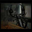 ���� Serega, �����-���������, 34 ���� - ��������� 12 ������ 2010 � ������ ��������