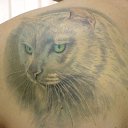 ���� �������� ������, ������, 52 ���� - ��������� 26 ���� 2012 � ������ �������