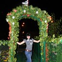 ���� �����, ��������������, 33 ���� - ��������� 16 ������ 2012