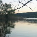 ���� ����)), �����, 40 ��� - ��������� 30 ������ 2009 � ������ ���� �����)�