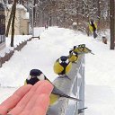 ���� ----*�*�*�*�- �*�*�*�*�*�*�*�*----, ����������� - ��������� 24 ��� 2011 � ������ �������