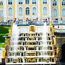 ���� �����, ������, 49 ��� - ��������� 3 ������� 2010 � ������ ���� ����������