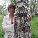 ���� �����, ���������, 53 ���� - ��������� 16 ������� 2013 � ������ ���� ����������