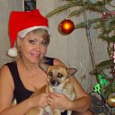 ���� ������, ������� - ��������� 6 ���� 2013