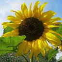 ���� �������, ��������� - ��������� 11 ��� 2012 � ������ �������