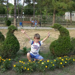 ����� 2009