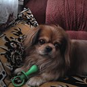 ���� ���������, �����������, 66 ��� - ��������� 1 ���� 2011 � ������ �������