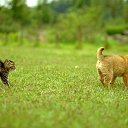  ,  , 23  -  13  2011   