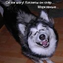 ���� �������, ������, 71 ��� - ��������� 2 ������ 2011 � ������ ���� �������� �����������