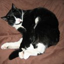 ���� ������, ������, 63 ���� - ��������� 15 ���� 2011 � ������ ���� ����-�����