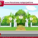 ���� ����, ����������, 27 ��� - ��������� 12 ����� 2011 � ������ �PetLove�