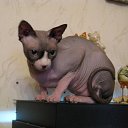 ���� ����, ������, 58 ��� - ��������� 12 ������ 2010 � ������ ���� ��������