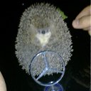 ���� �������, �������, 40 ��� - ��������� 12 �������� 2011