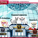  , -, 34  -  11  2011   PetLove