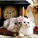 ���� Ihar., �����, 53 ���� - ��������� 10 ��� 2012 � ������ �������