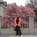 ���� ��������, ������ - ��������� 31 ������� 2011 � ������ ���� ����������