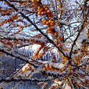 "�������� � ������"