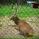 ���� ���������, �����������, 60 ��� - ��������� 15 ������� 2011