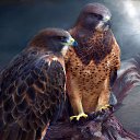 ���� ����� - ���������� ��������!!!, �����������, 56 ��� - ��������� 14 ������� 2009 � ������ ���������� �������Ż