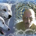 ���� �������, �����-��������� - ��������� 24 ���� 2011 � ������ ���� ����������