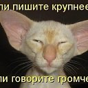���� Anatol, ��������, 74 ���� - ��������� 12 ��� 2013 � ������ ���� ����������