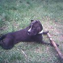 ���� ������, �����-���������, 60 ��� - ��������� 30 ������� 2011