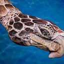 ���� ����. ��������� �� ��!, ������, 72 ���� - ��������� 1 ��� 2012 � ������ �Body art�