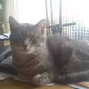 ���� �����, ������, 52 ���� - ��������� 14 ����� 2013 � ������ ���� ����������