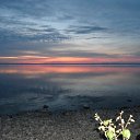���� ������, �������, 61 ��� - ��������� 15 ������� 2011 � ������ ���� ����������
