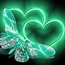 ���� �����, ����� - ��������� 23 ������ 2011 � ������ ����������