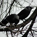 ���� �����.....����., �������, 43 ���� - ��������� 28 ������ 2011 � ������ ���� ����������