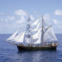 ���� �����, �������, 47 ��� - ��������� 5 ��� 2013