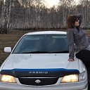 ���� ��������, �������-���������, 34 ���� - ��������� 29 ������ 2013 � ������ ���� ����������