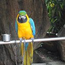  , , 54  -  23  2012   PetLove