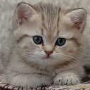 ���� �����, �����������, 26 ��� - ��������� 10 ������� 2012