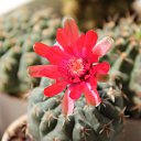 ���� ����, ������-��-����, 24 ���� - ��������� 28 ���� 2010 � ������ �������