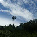 ���� ����, �����������, 38 ��� - ��������� 31 ������� 2011 � ������ ���� ����������