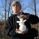 ���� ����, ������, 46 ��� - ��������� 29 ������ 2009 � ������ ���� ����������