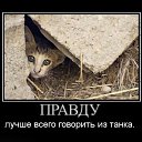  Nataly, , 52  -  18  2010   Funny Cats