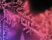     - http://vkontakte.ru/app2175066?from_id=1&loc=4ec6d178bbc6939e18bfe02e