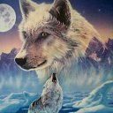 ���� Esed, ����, 58 ��� - ��������� 1 ������� 2012 � ������ ���� ����������