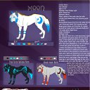 ���� �����, ������ - ��������� 8 ������� 2012 � ������ �������� Moon (���, ����)�